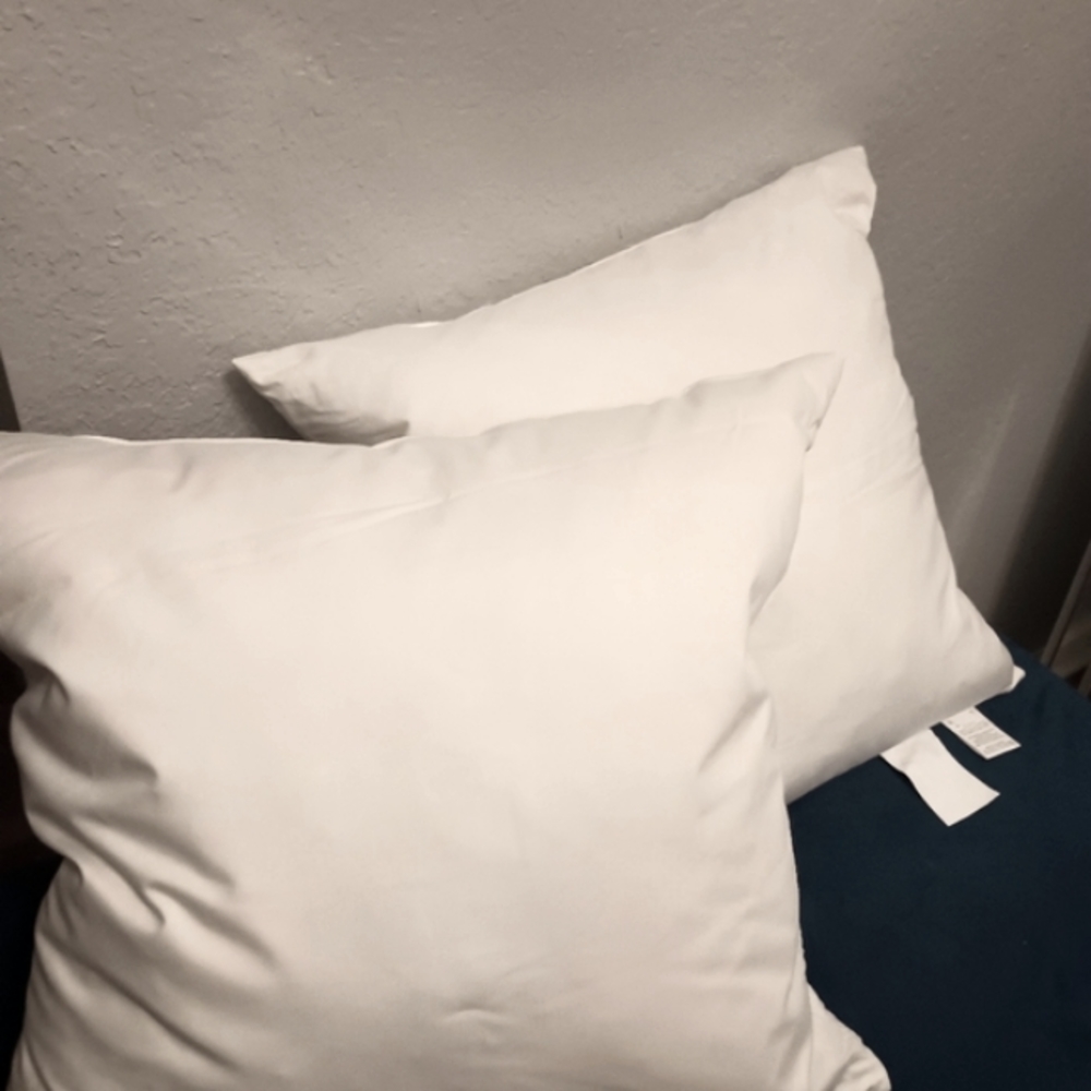 West elm 20x20 down feathers 2 pillow insert